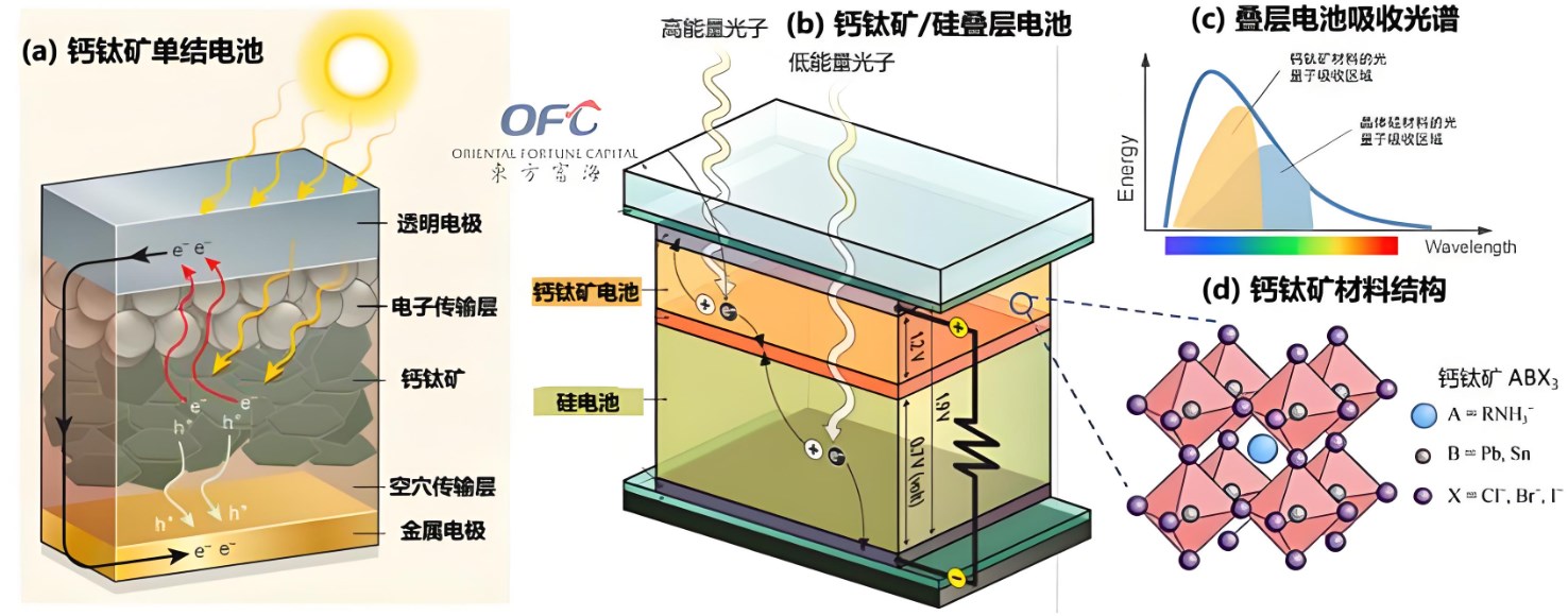 鈣鈦礦太陽能電池結構中的每一層的作用是什么